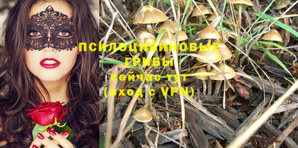 мяу мяу кристалл Богданович