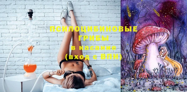 таблы Богородицк