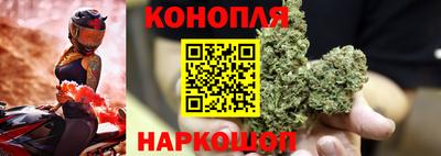 Альфа ПВП Новокубанск