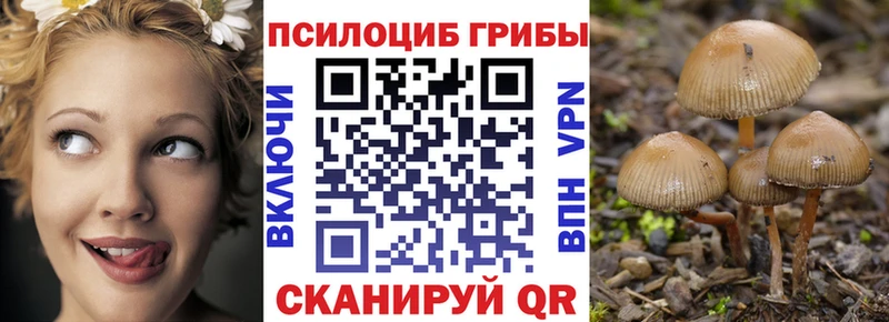 Галлюциногенные грибы Cubensis Острогожск