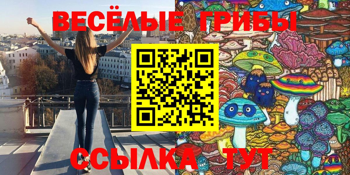 Острогожск  Галлюциногенные грибы ЛСД  Вход с VPN 